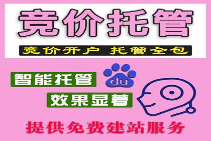 百度推广运营实战经验分享：案例解析与策略